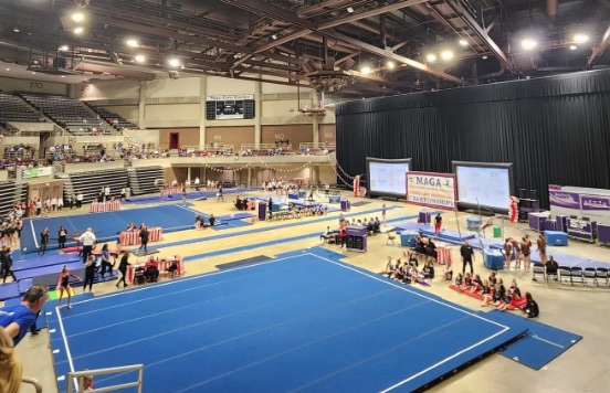 Gymnastics competition floor
